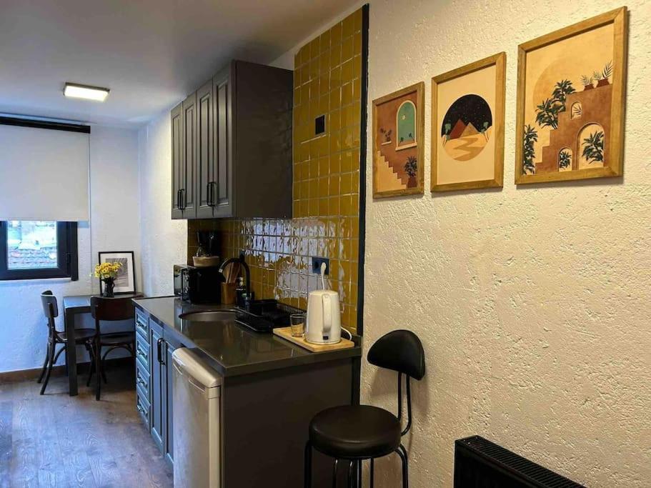 Casa Mirasol Terrace Golden Horn Istanbul Apartment Екстериор снимка